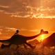 Image for article titled Pixar goes both simpler and stranger than usual with The Good Dinosaur